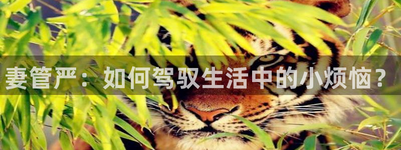 行业资讯